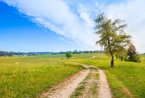 You are currently viewing Should I stay in unhappy marriage?
